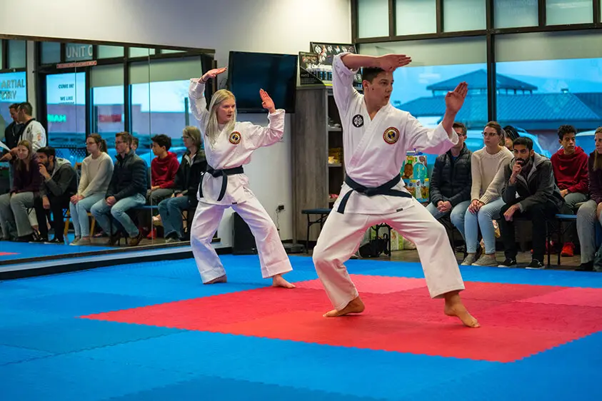 adults performing martial arts